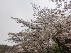 -杭州少年儿童公园
