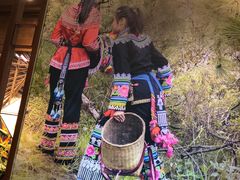 -云海肴云南菜·蒸汽石锅鱼(北京良乡华冠店)