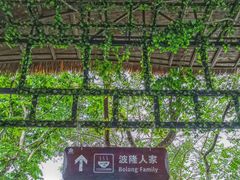 -海南槟榔谷黎苗文化旅游区