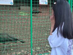 -杭州开元森泊度假乐园