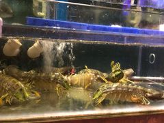 -辉记炭烧海鲜大排档·老字号(福田店)