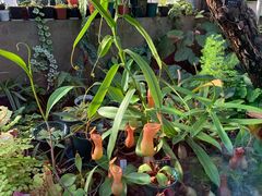 -国家植物园南园