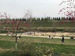 -洨河生态公园