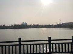 -上海长兴岛郊野公园