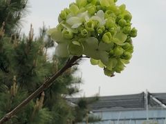 -洛阳市隋唐城遗址植物园