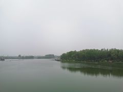 -大兴滨河森林公园