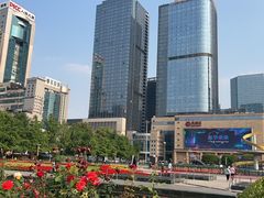 -成都明宇丽雅饭店