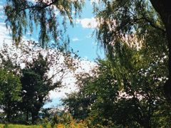 -国家植物园