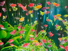 -海底捞火锅(威高广场店)