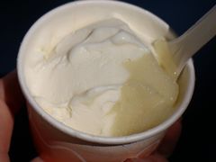 -Dip in Gelato(富民路店)