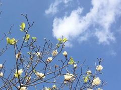 -广州市流溪河国家森林公园