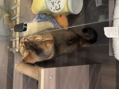 -财東财·棋牌(五角场店)