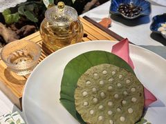 -叶叶菩提(太原别墅店)