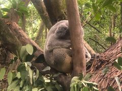 -恩你小木屋米酒店(安盛店)