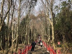 -窦圌山风景区