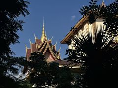 -西双版纳原始森林公园