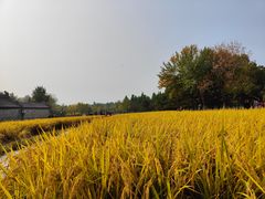 -北坞公园