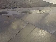 -星鸿社重庆老火锅