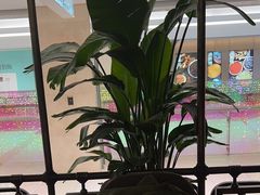 -旺顺阁鱼头泡饼(常营店)