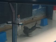 -锦艺城海洋馆