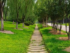 -永定河休闲森林公园