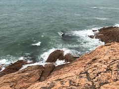 -广东惠东海龟国家级自然保护区