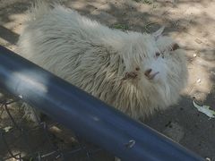 -长白岛森林公园