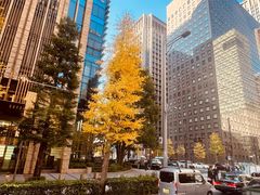 -篝拉面(银座店)