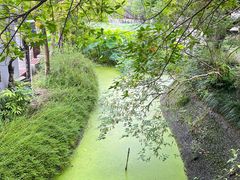 -丝绸小镇荻港古村