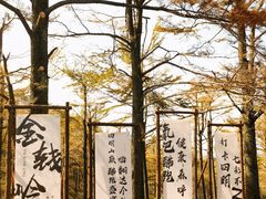 -四明山国家森林公园