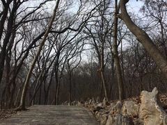 -皇藏峪国家森林公园