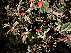 -雅达·阳羡溪山小镇中心