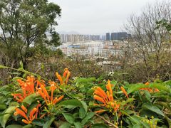 -飞凤山奥体公园