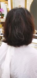 -伊本造型