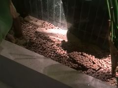 -涟LIAN·泰式按摩·MASSAGE·SPA(华强北店)