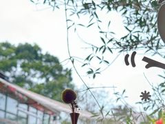 -BEZZA白札·烤芝士工作室