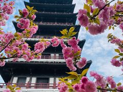 -宜兴龙背山森林公园