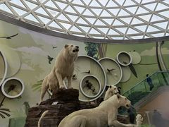 -陕西自然博物馆