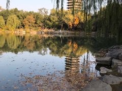 -北京大学-燕南食堂