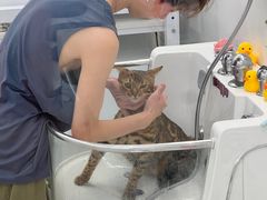 -comecome来吧宠物(奥克斯中心店)