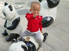 -西安秦岭野生动物园