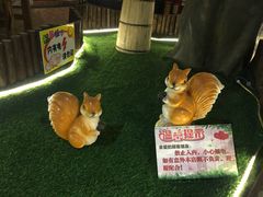 -老阿妈蒙古村·蒙古包·草原文化·歌舞表演(老君堂店)