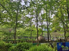 -WeLope紫金山探险公园