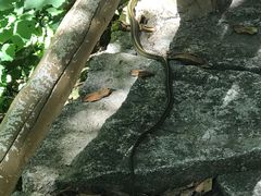 -黑龙潭风景区