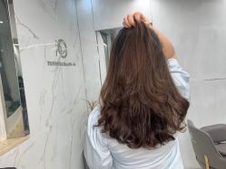 -潘多拉Hairsalon
