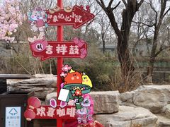 -八大处公园