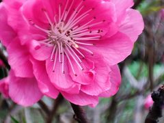 -广州市流溪河国家森林公园