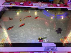 -汤姆熊欢乐世界·史莱姆怪兽(正大店)