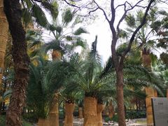 -苏州河梦清园环保主题公园