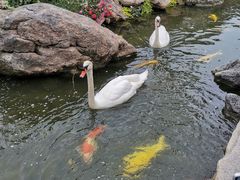 -罗红摄影艺术馆